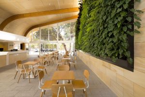 Austral AAA Marine Plywood
