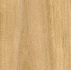 Blackbutt - Crown